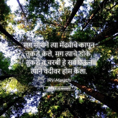Picture 05 - लेवीय 8:20 MARIRV - मग मोशेने त्या - Bible Verse Picture