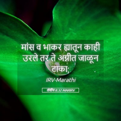 Picture 05 - लेवीय 8:32 MARIRV - मांस व भाकर - Bible Verse Picture