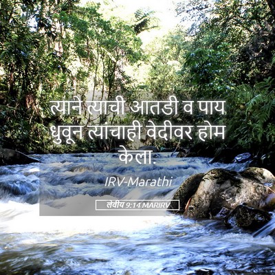 Picture 05 - लेवीय 9:14 MARIRV - त्याने त्याची - Bible Verse Picture