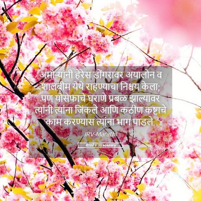 Picture 05 - शास्ते 1:35 MARIRV - अमोऱ्यांनी हेरेस - Bible Verse Picture