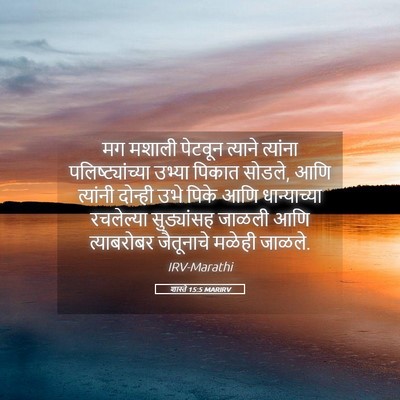 Picture 05 - शास्ते 15:5 MARIRV - मग मशाली पेटवून - Bible Verse Picture