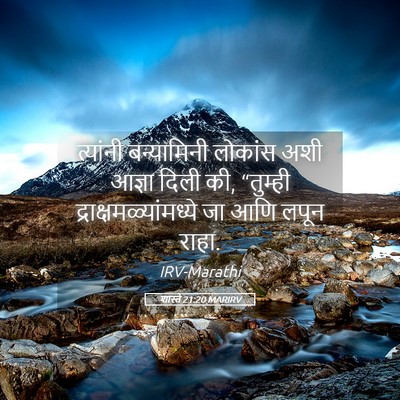 Picture 05 - शास्ते 21:20 MARIRV - त्यांनी बन्यामिनी - Bible Verse Picture
