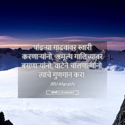 Picture 05 - शास्ते 5:10 MARIRV - पांढऱ्या गाढवावर - Bible Verse Picture