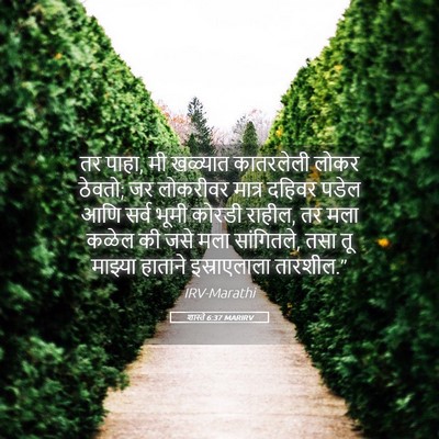 Picture 05 - शास्ते 6:37 MARIRV - तर पाहा, मी खळ्यात - Bible Verse Picture