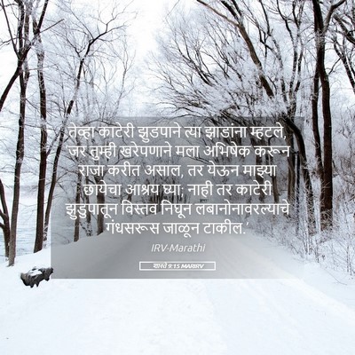 Picture 05 - शास्ते 9:15 MARIRV - तेव्हा काटेरी - Bible Verse Picture