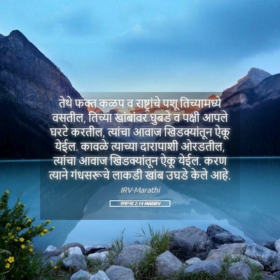 Picture 05 - सफन्या 2:14 MARIRV - तेथे फक्त कळप व - Bible Verse Picture