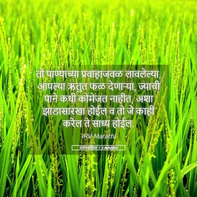 Picture 05 - स्तोत्रसंहिता 1:3 MARIRV - तो पाण्याच्या - Bible Verse Picture