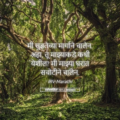 Picture 05 - स्तोत्रसंहिता 101:2 MARIRV - मी सुज्ञतेच्या - Bible Verse Picture