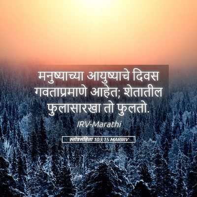 Picture 05 - स्तोत्रसंहिता 103:15 MARIRV - मनुष्याच्या - Bible Verse Picture