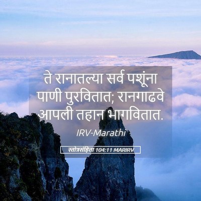 Picture 05 - स्तोत्रसंहिता 104:11 MARIRV - ते रानातल्या सर्व - Bible Verse Picture