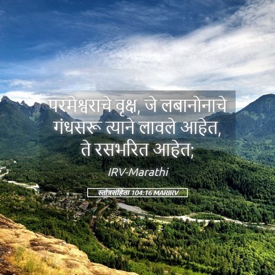 Picture 05 - स्तोत्रसंहिता 104:16 MARIRV - परमेश्वराचे - Bible Verse Picture
