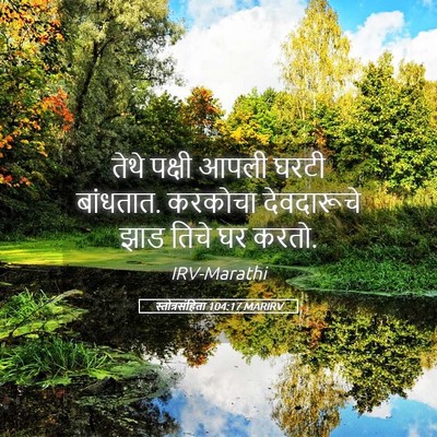 Picture 05 - स्तोत्रसंहिता 104:17 MARIRV - तेथे पक्षी आपली - Bible Verse Picture