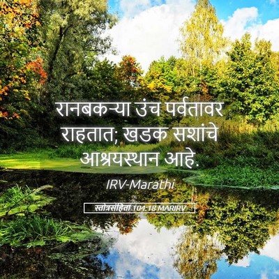 Picture 05 - स्तोत्रसंहिता 104:18 MARIRV - रानबकऱ्या उंच - Bible Verse Picture