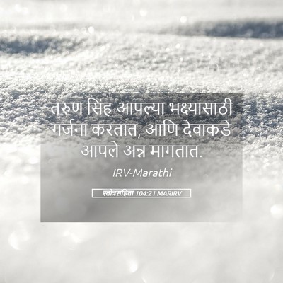 Picture 05 - स्तोत्रसंहिता 104:21 MARIRV - तरुण सिंह आपल्या - Bible Verse Picture