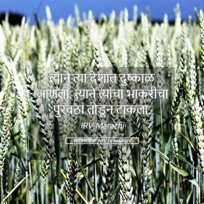 Picture 05 - स्तोत्रसंहिता 105:16 MARIRV - त्याने त्या देशात - Bible Verse Picture