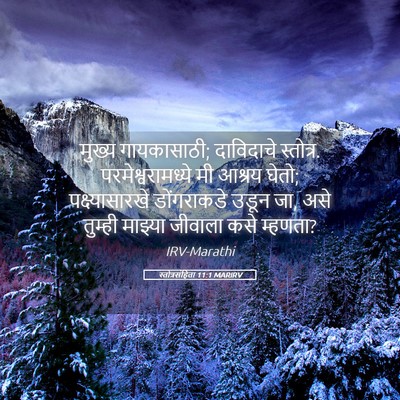 Picture 05 - स्तोत्रसंहिता 11:1 MARIRV - मुख्य गायकासाठी; - Bible Verse Picture