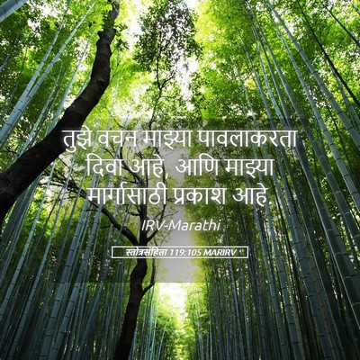 Picture 05 - स्तोत्रसंहिता 119:105 MARIRV - तुझे वचन माझ्या - Bible Verse Picture
