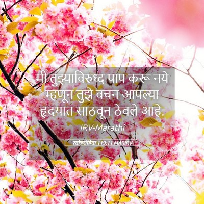 Picture 05 - स्तोत्रसंहिता 119:11 MARIRV - मी तुझ्याविरुध्द - Bible Verse Picture
