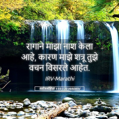 Picture 05 - स्तोत्रसंहिता 119:139 MARIRV - रागाने माझा नाश - Bible Verse Picture