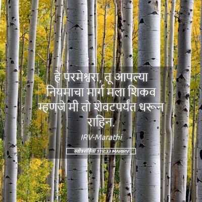Picture 05 - स्तोत्रसंहिता 119:33 MARIRV - हे परमेश्वरा, तू - Bible Verse Picture