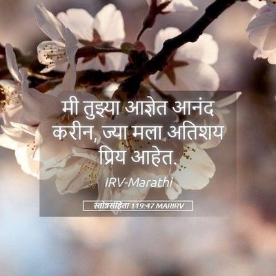 Picture 05 - स्तोत्रसंहिता 119:47 MARIRV - मी तुझ्या आज्ञेत - Bible Verse Picture