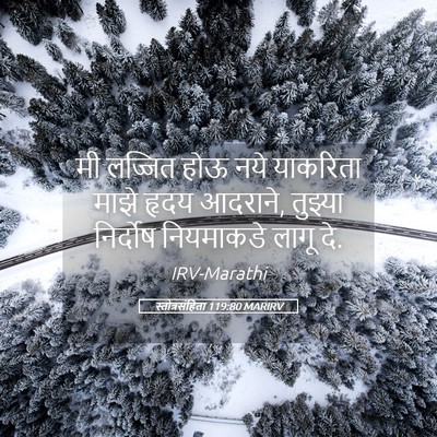 Picture 05 - स्तोत्रसंहिता 119:80 MARIRV - मी लज्जित होऊ नये - Bible Verse Picture