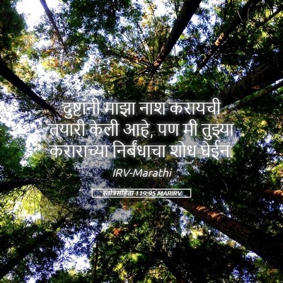 Picture 05 - स्तोत्रसंहिता 119:95 MARIRV - दुष्टांनी माझा - Bible Verse Picture