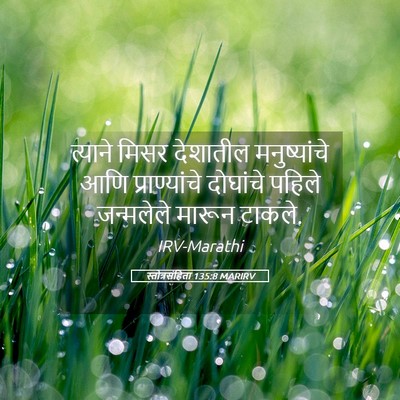 Picture 05 - स्तोत्रसंहिता 135:8 MARIRV - त्याने मिसर - Bible Verse Picture