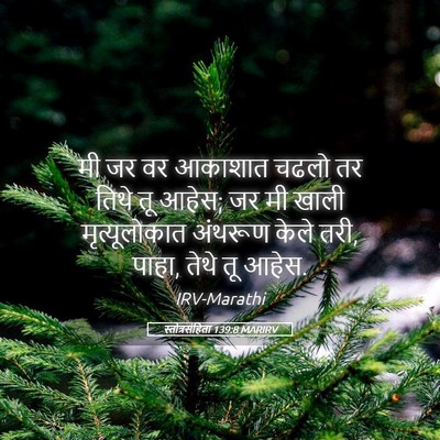 Picture 05 - स्तोत्रसंहिता 139:8 MARIRV - मी जर वर आकाशात - Bible Verse Picture