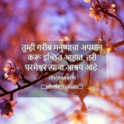 Picture 05 - स्तोत्रसंहिता 14:6 MARIRV - तुम्ही गरीब - Bible Verse Picture