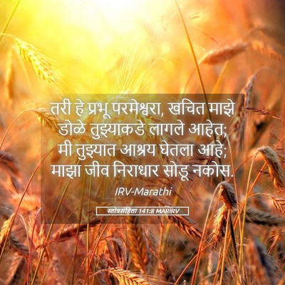 Picture 05 - स्तोत्रसंहिता 141:8 MARIRV - तरी हे प्रभू - Bible Verse Picture