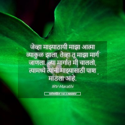 Picture 05 - स्तोत्रसंहिता 142:3 MARIRV - जेव्हा माझ्याठायी - Bible Verse Picture
