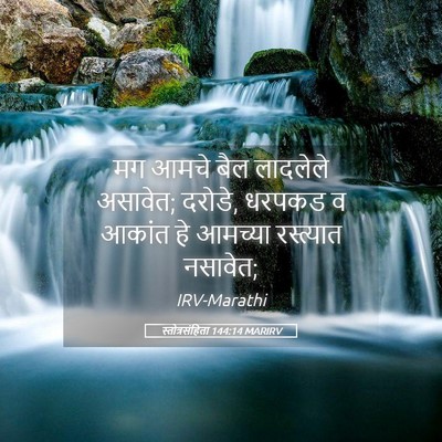 Picture 05 - स्तोत्रसंहिता 144:14 MARIRV - मग आमचे बैल - Bible Verse Picture