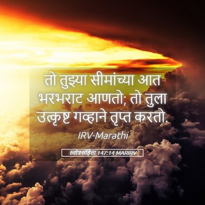 Picture 05 - स्तोत्रसंहिता 147:14 MARIRV - तो तुझ्या - Bible Verse Picture