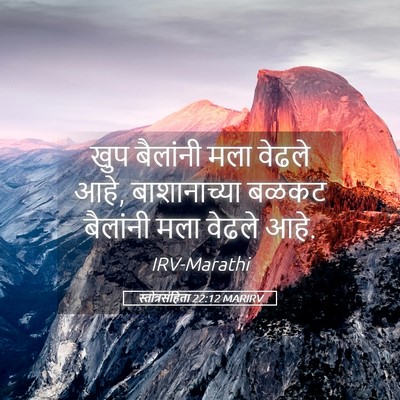 Picture 05 - स्तोत्रसंहिता 22:12 MARIRV - खुप बैलांनी मला - Bible Verse Picture