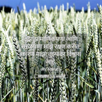 Picture 05 - स्तोत्रसंहिता 25:21 MARIRV - तुझा प्रामाणिकपणा - Bible Verse Picture