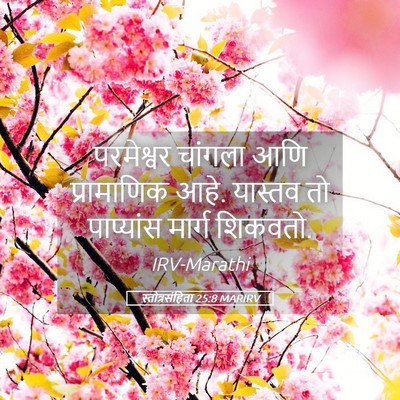 Picture 05 - स्तोत्रसंहिता 25:8 MARIRV - परमेश्वर चांगला - Bible Verse Picture