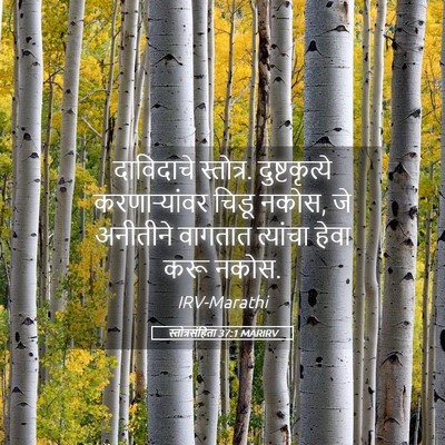 Picture 05 - स्तोत्रसंहिता 37:1 MARIRV - दाविदाचे स्तोत्र. - Bible Verse Picture