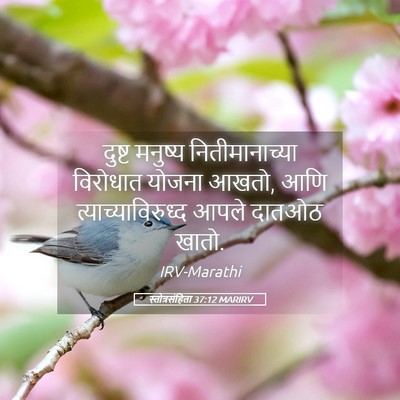 Picture 05 - स्तोत्रसंहिता 37:12 MARIRV - दुष्ट मनुष्य - Bible Verse Picture