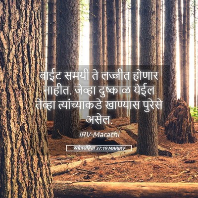 Picture 05 - स्तोत्रसंहिता 37:19 MARIRV - वाईट समयी ते - Bible Verse Picture