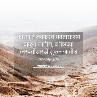Picture 05 - स्तोत्रसंहिता 37:2 MARIRV - कारण ते लवकरच - Bible Verse Picture