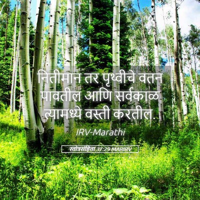 Picture 05 - स्तोत्रसंहिता 37:29 MARIRV - नितीमान तर - Bible Verse Picture