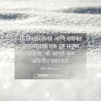 Picture 05 - स्तोत्रसंहिता 37:35 MARIRV - मी विस्तारलेल्या - Bible Verse Picture