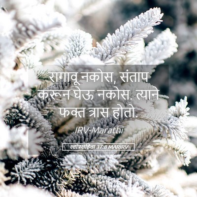 Picture 05 - स्तोत्रसंहिता 37:8 MARIRV - रागावू नकोस, संताप - Bible Verse Picture