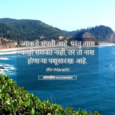 Picture 05 - स्तोत्रसंहिता 49:20 MARIRV - ज्याकडे संपत्ती - Bible Verse Picture