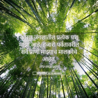 Picture 05 - स्तोत्रसंहिता 50:10 MARIRV - कारण जंगलातील - Bible Verse Picture