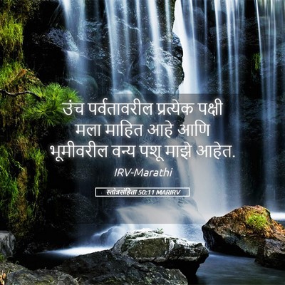 Picture 05 - स्तोत्रसंहिता 50:11 MARIRV - उंच पर्वतावरील - Bible Verse Picture