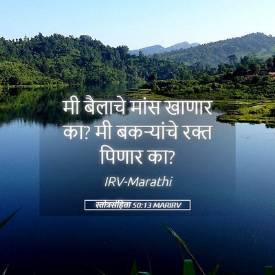 Picture 05 - स्तोत्रसंहिता 50:13 MARIRV - मी बैलाचे मांस - Bible Verse Picture