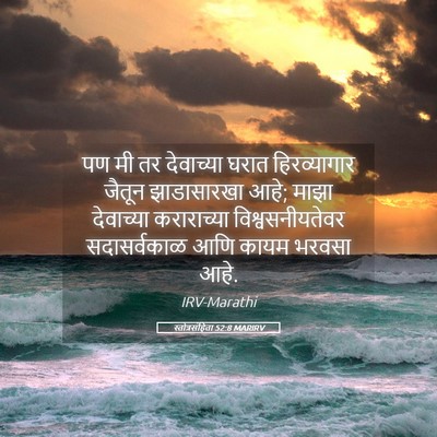 Picture 05 - स्तोत्रसंहिता 52:8 MARIRV - पण मी तर देवाच्या - Bible Verse Picture