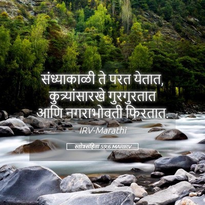 Picture 05 - स्तोत्रसंहिता 59:6 MARIRV - संध्याकाळी ते परत - Bible Verse Picture